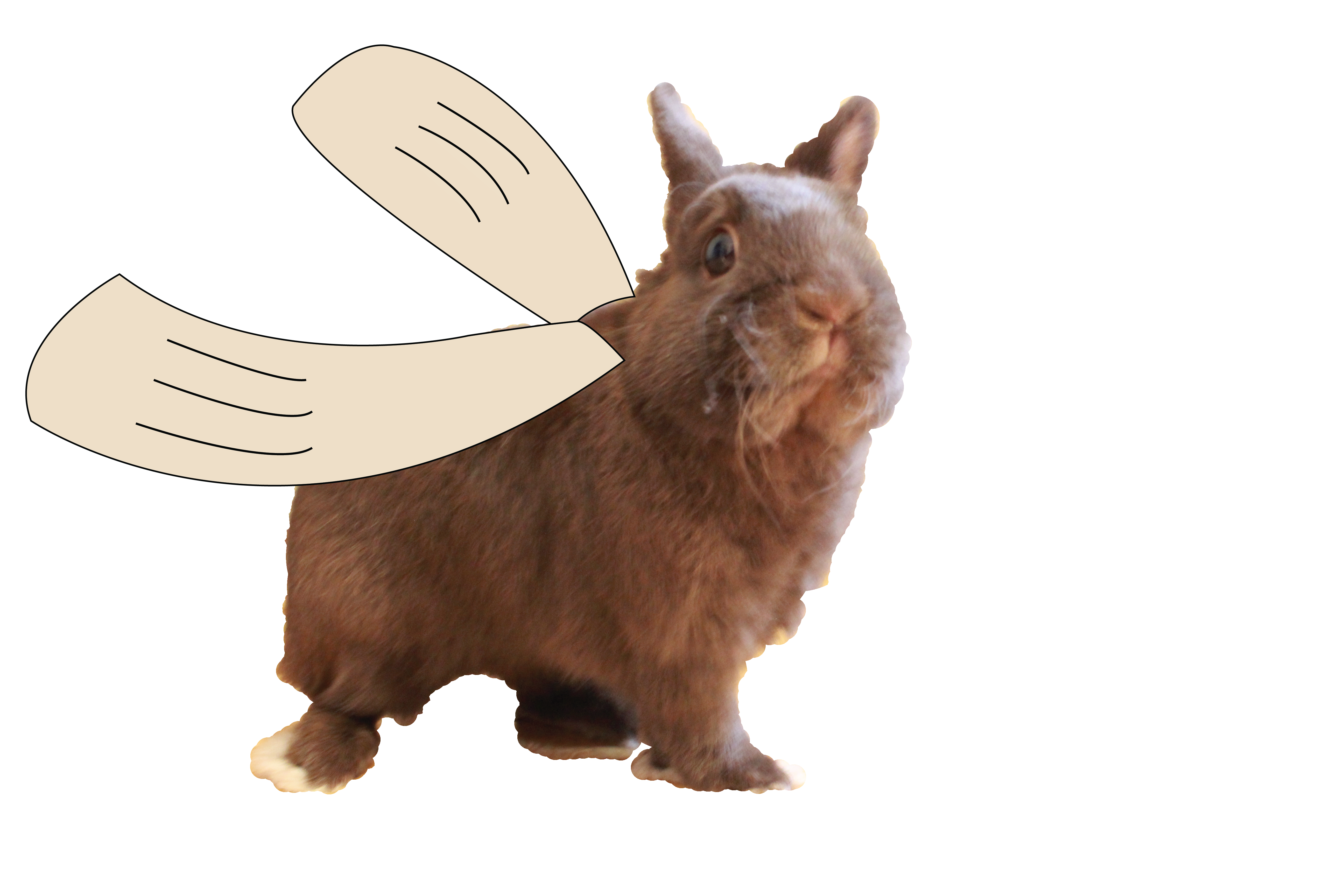 Rabbit with wings